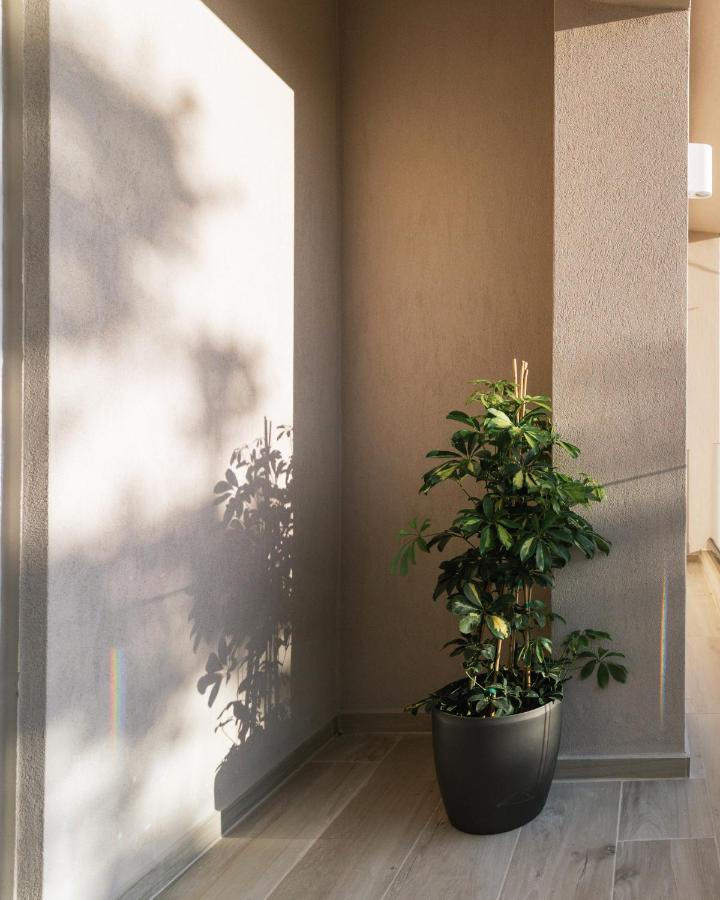 Central Apartments “Evanthia” Пицидия Экстерьер фото